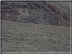 foto Vulcano Cotopaxi